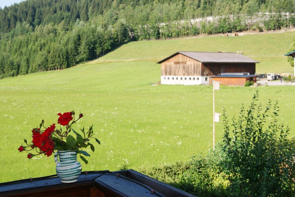 Príroda v okolí apartmánu
