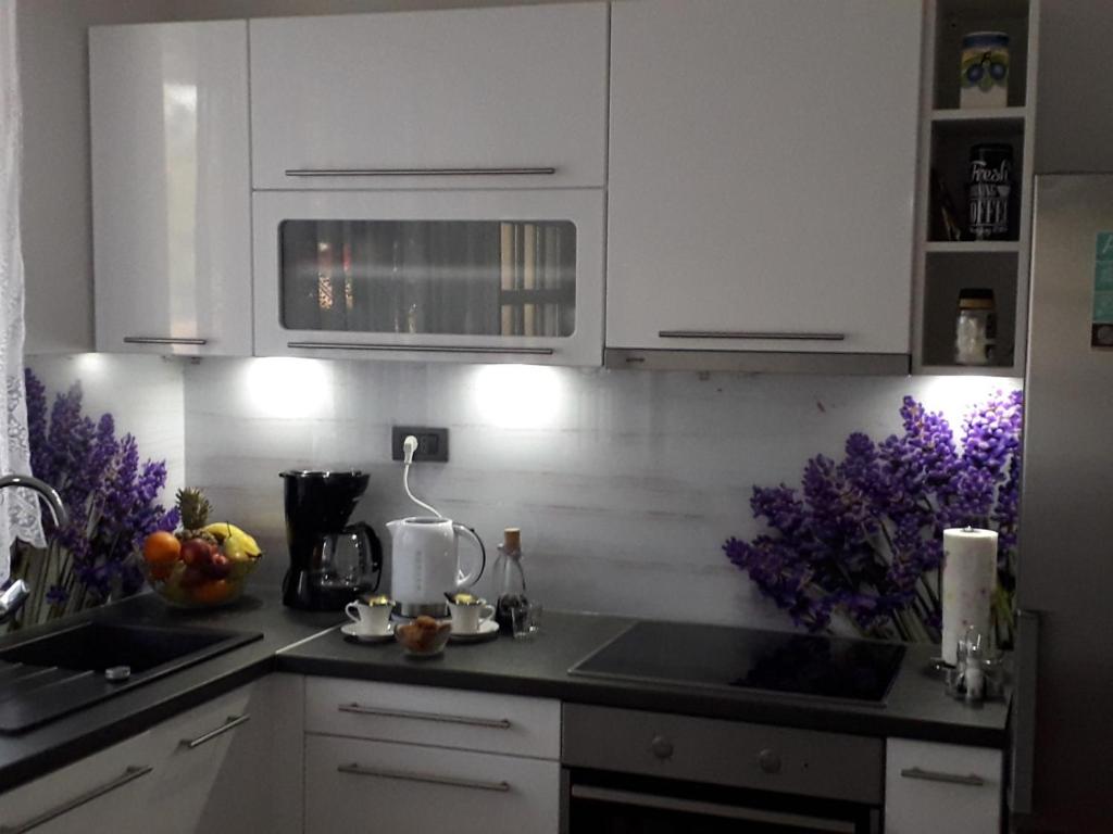 Kuchyň nebo kuchyňský kout v ubytování Apartment Karla SNB
