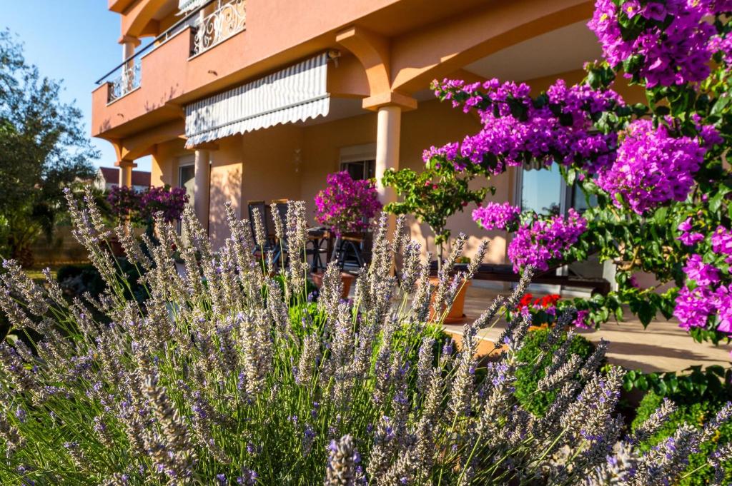 Vonkajšia záhrada v ubytovaní Apartment 1001 Nights