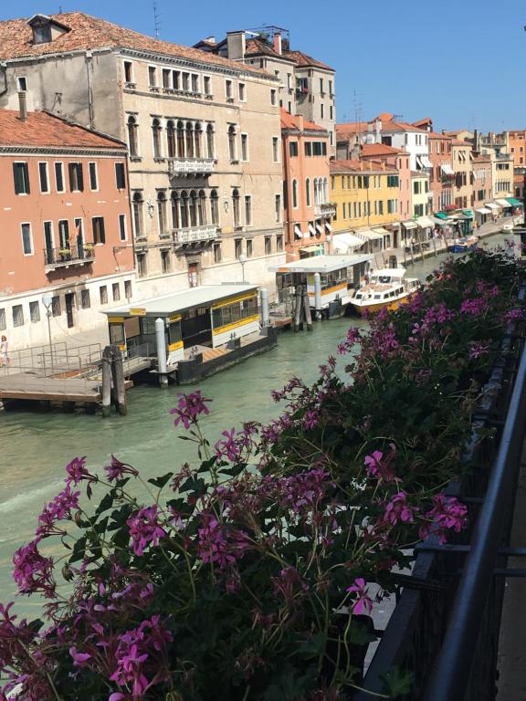 a view of a canal with buildings and purple flowers at Ca' Bonfadini Historic Experience in Venice