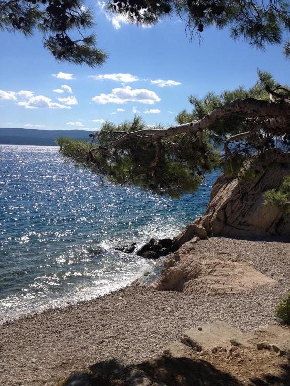 Príroda v okolí apartmánu