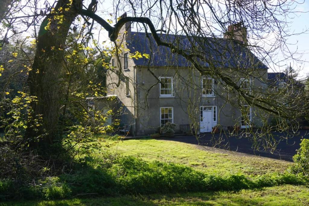 uma grande casa branca com uma árvore em frente em Ballydivity House em Ballymoney