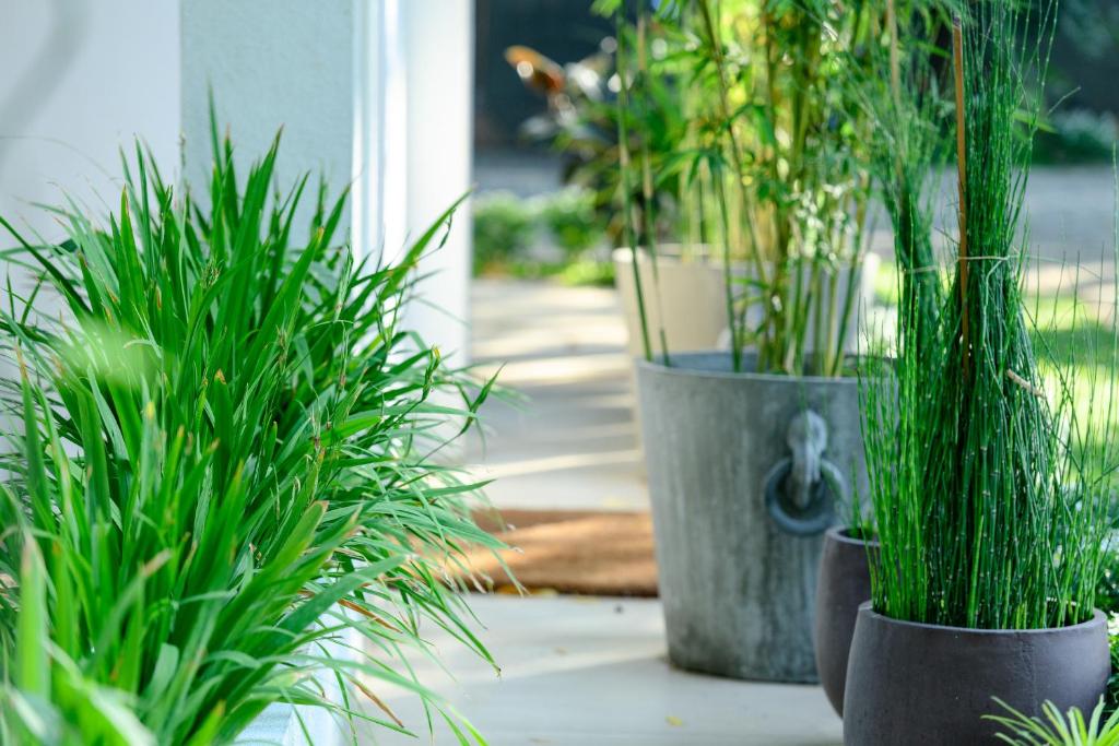 Aryana Boutique Hotel - 18