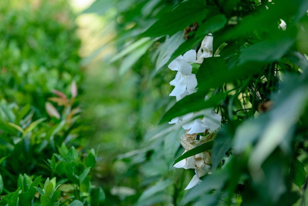 Aryana Boutique Hotel - 16