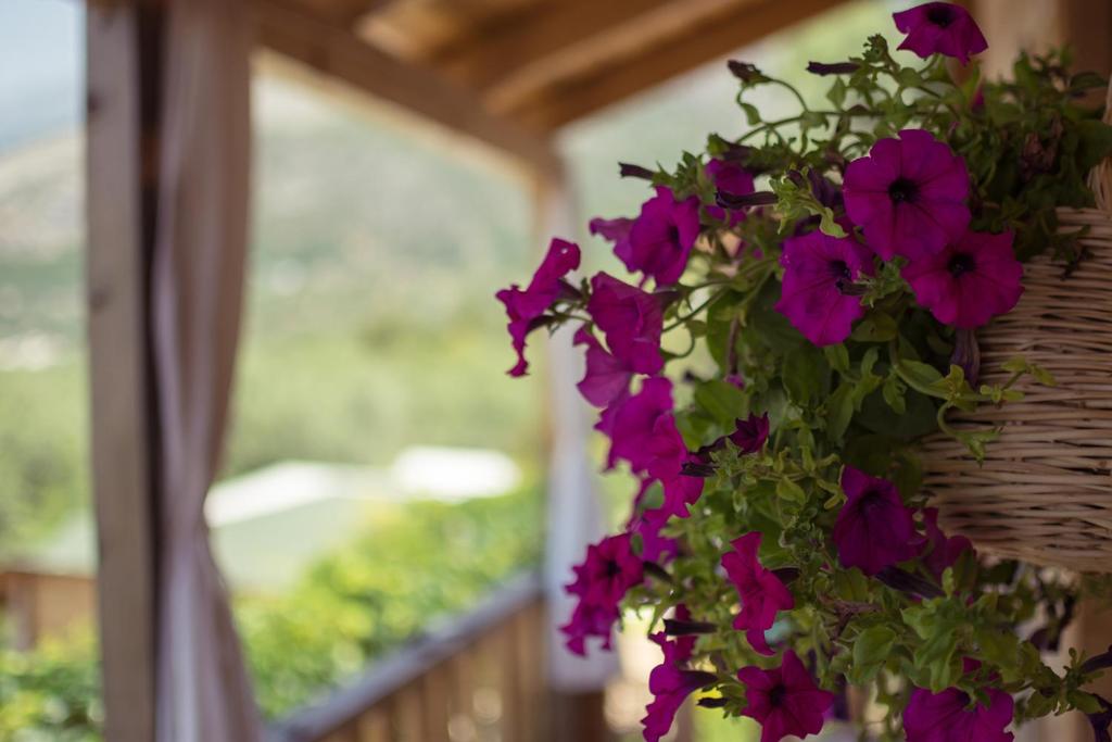 a flower arrangement in a vase on a porch at Scala Bungalows in Himare