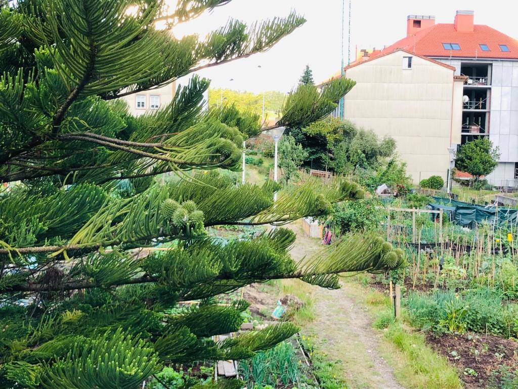 Zahrada ubytování Albergue SIXTOs no Caminho