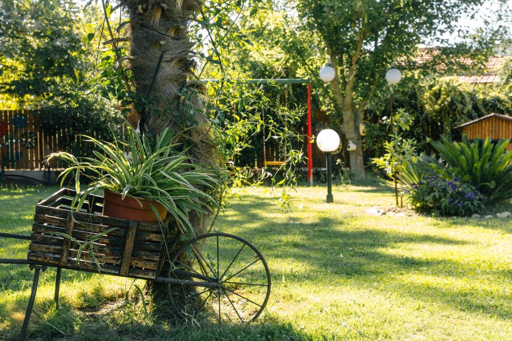 Zahrada ubytování KATIA Studios