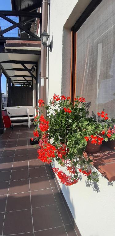 une fenêtre avec des fleurs rouges sur le côté du bâtiment dans l'établissement Apartamenty Kalinowa, à Rowy