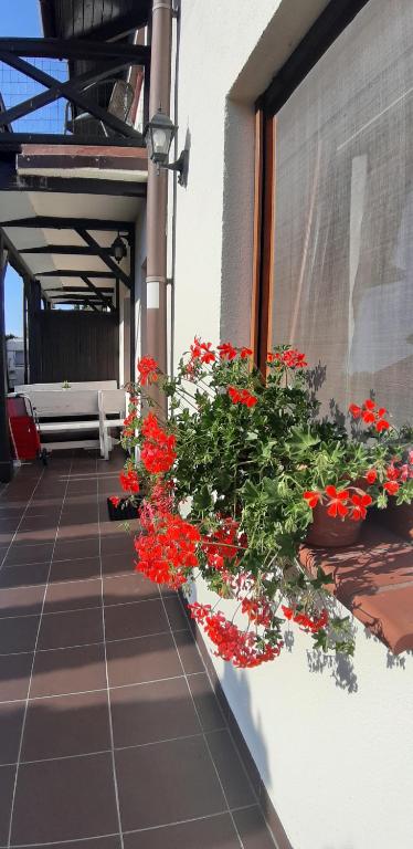 a window box with red flowers on the side of a building at Apartamenty Kalinowa in Rowy