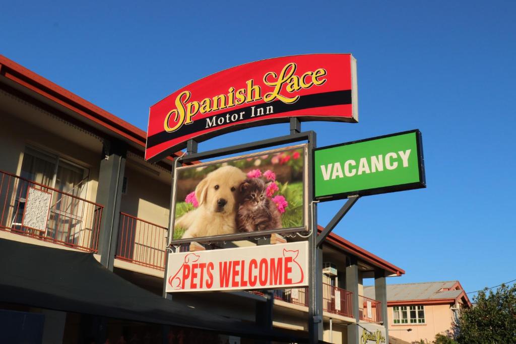 a sign with a dog sitting on top of it at Spanish Lace Motor Inn in Townsville