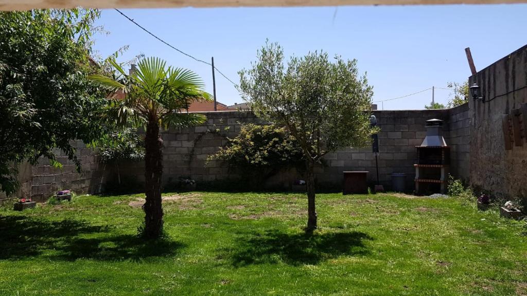 two trees in a yard next to a wall at Casa Rural Villa de Ambel in Ambel