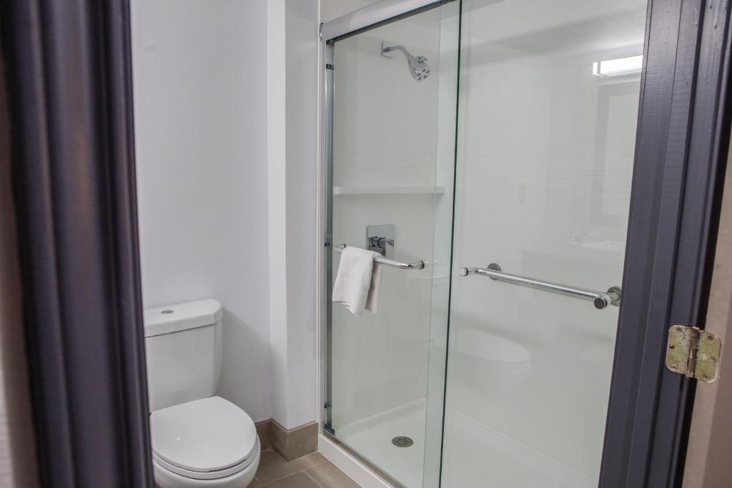 Country Inn & Suites by Radisson, Harlingen, TX - Studio King Suite - Non-Smoking