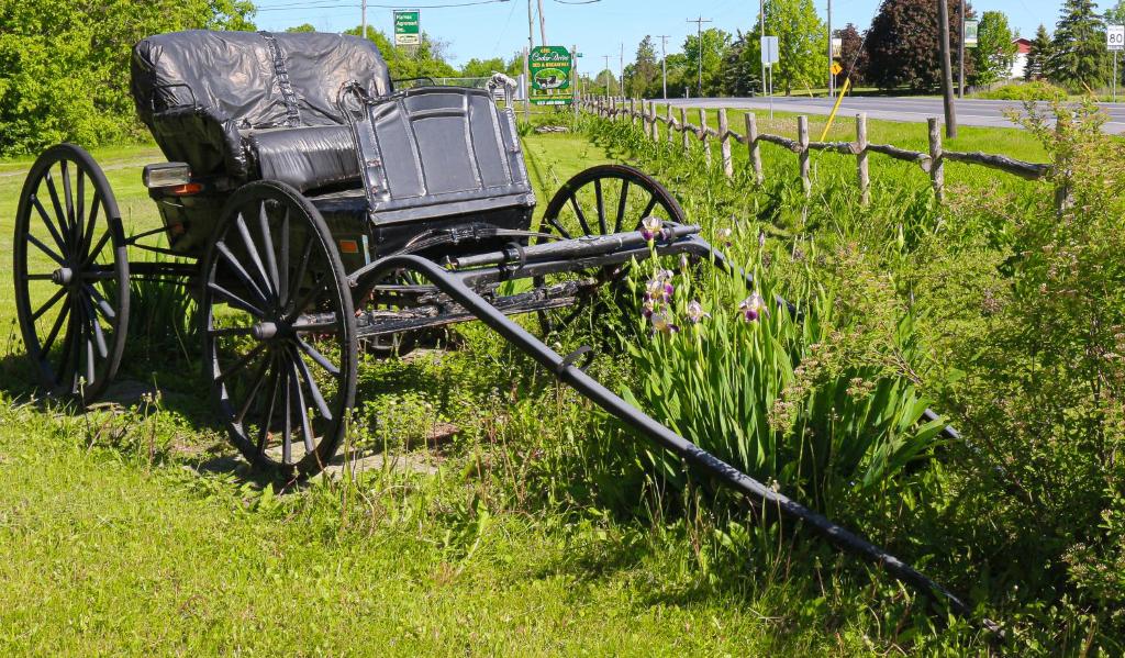 a horse drawn carriage on the side of a road at Cedar Drive Inn in Crysler