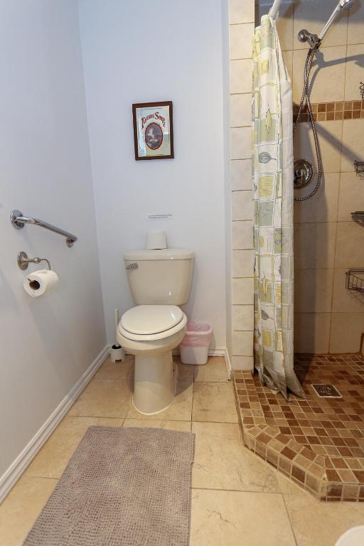 a bathroom with a toilet and a shower at Cedar Drive Inn in Crysler