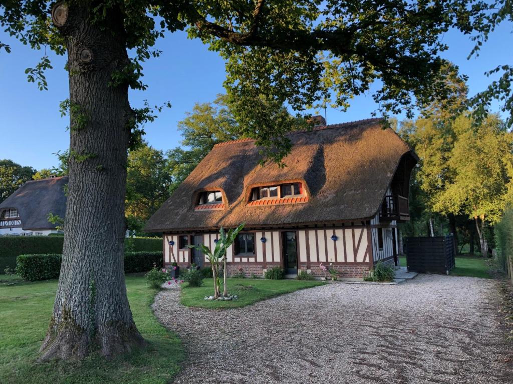 ein altes Haus mit einem Strohdach und einem Baum in der Unterkunft la p’tite chaumière in Forges-les-Eaux