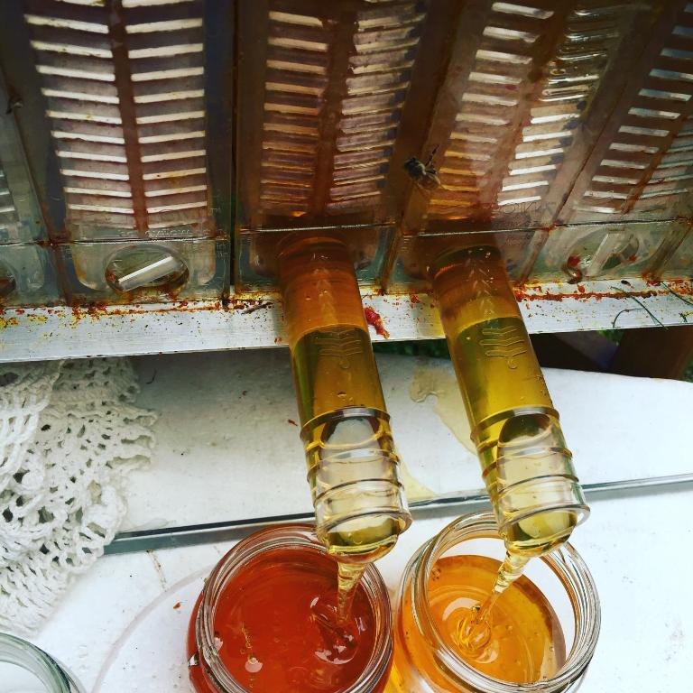 Kippilaw House - Resim 9