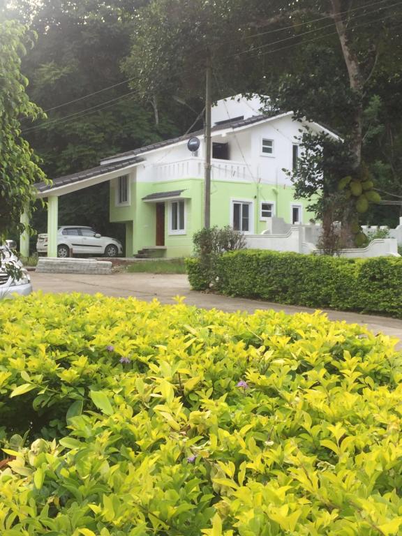 a green bush in front of a house at Kodai Elegance in Kodaikānāl