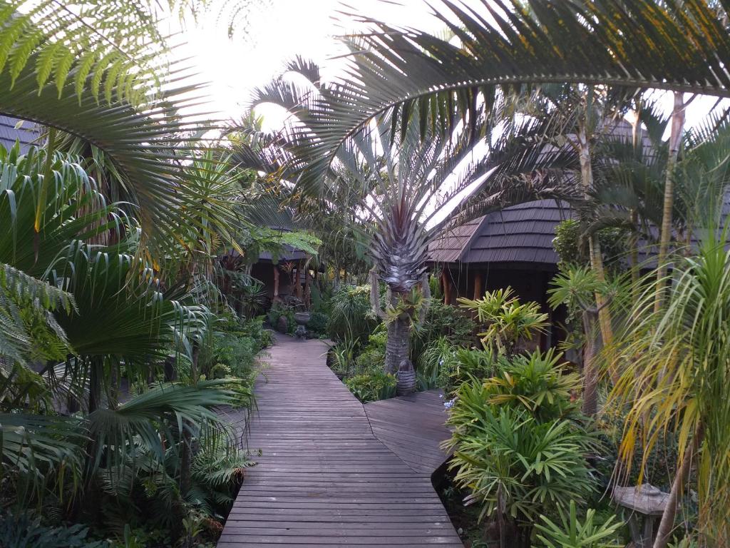 una passerella in legno attraverso un giardino tropicale con palme di Lodge Afrique a St Lucia