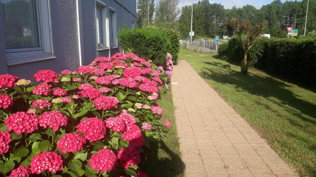 uma fila de flores cor-de-rosa ao lado de um edifício em Hotel - Restaurant du Lac - Agen em Boé