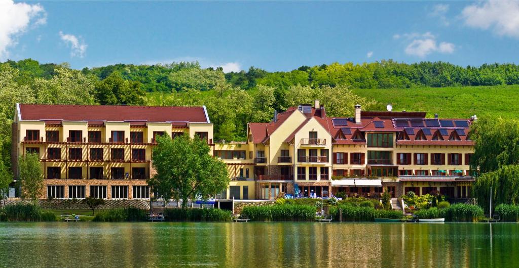 Tó Wellness Hotel 2653 Bánk, Petőfi út 73. kép - 1
