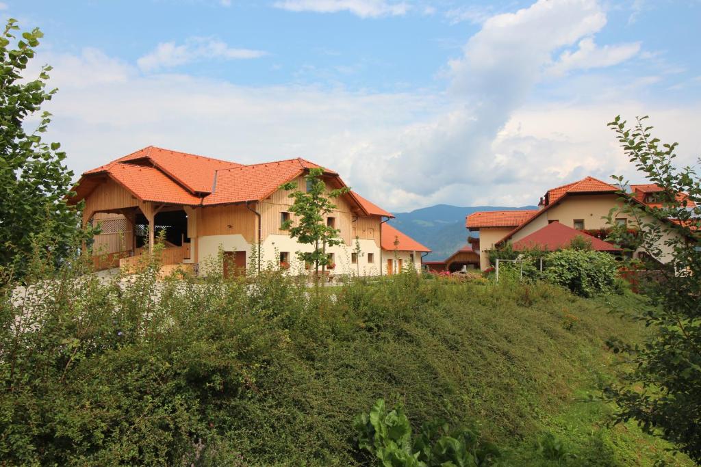 a house on a hill with mountains in the background at Apartments Organic tourist farm Jeglijenk in Šentjanž pri Dravogradu