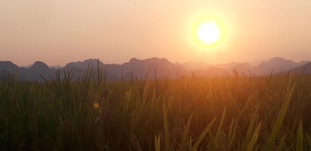 Palafita Bungalow - 12