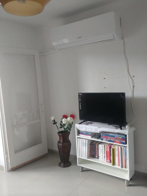 TV a/nebo společenská místnost v ubytování Apartment for relaxing and for health