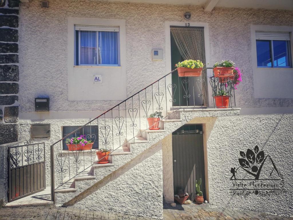 a building with potted plants on the stairs at Casa Celeste in Castro Daire