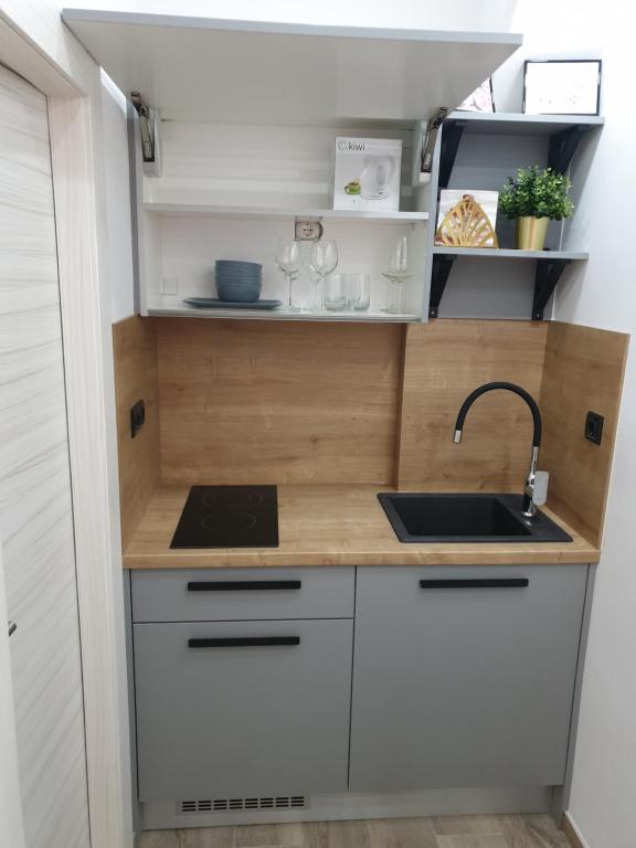 Kuchyň nebo kuchyňský kout v ubytování Apartment Kasia