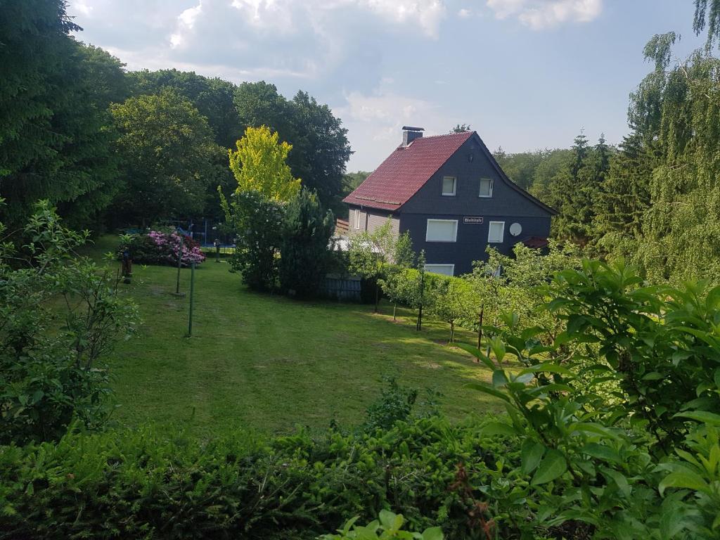 een zwart huis met een rood dak in een tuin bij Waldidylle in Friedrichsbrunn