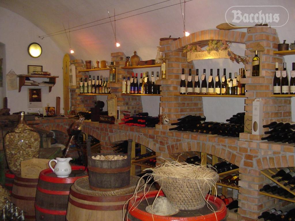 Nápoje v ubytování Bacchus Apartman - Borbarlang, Badacsony
