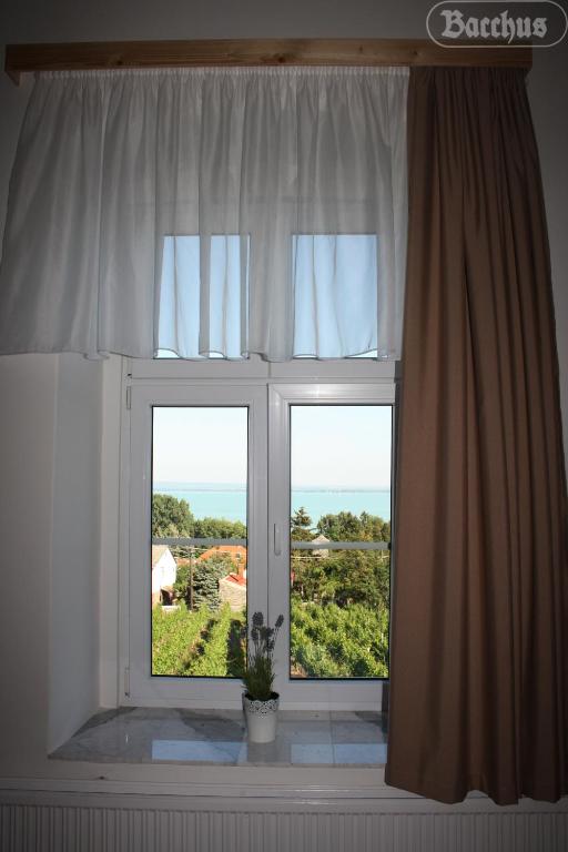 Fotografie z fotogalerie ubytování Bacchus Apartman - Borbarlang, Badacsony v destinaci Badacsonytomaj
