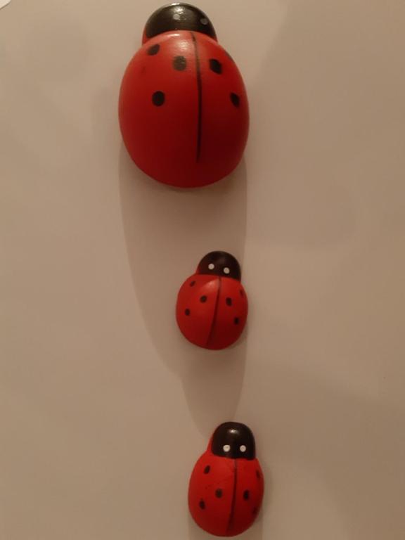 Apartman Ladybug - Apartamento De Una Habitación