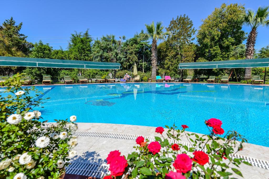 Bazén v ubytování Rebin Beach Hotel nebo v jeho okolí