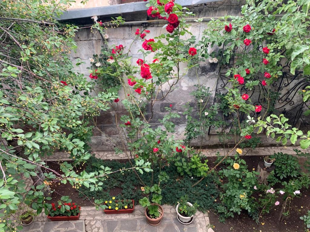Zahrada ubytování Armine's B&B
