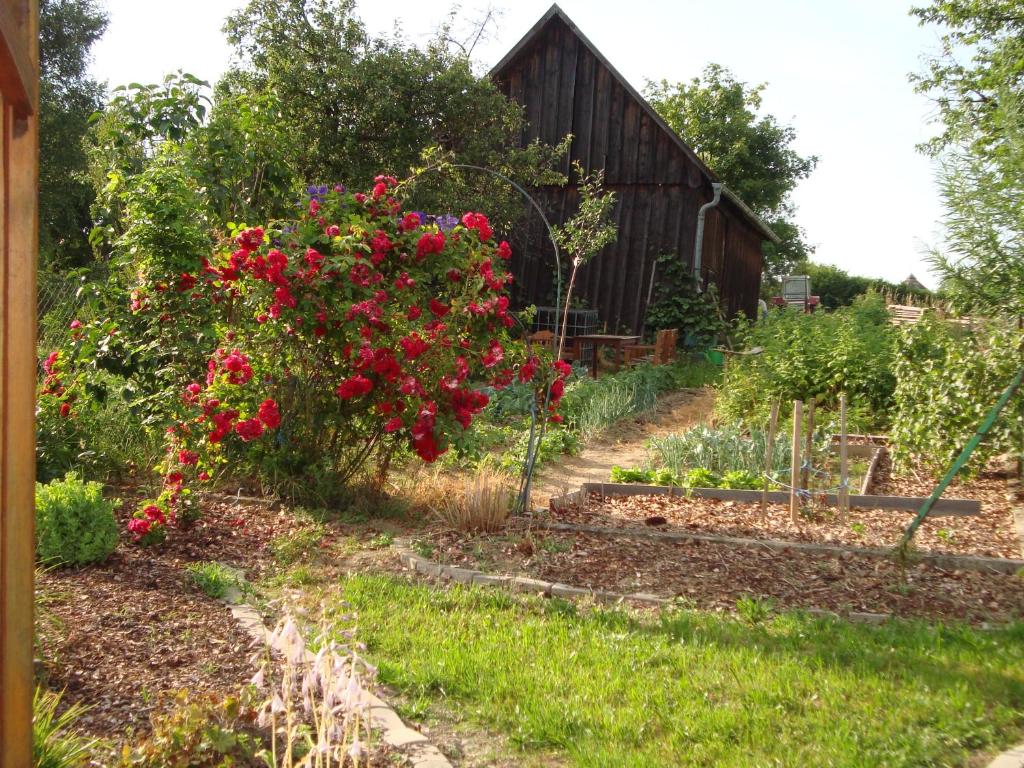 Zahrada ubytování Ferienwohnungen Strohmayerhof