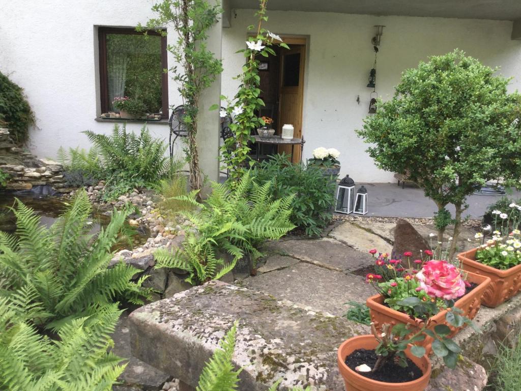 Zahrada ubytování Ferienwohnung Schug