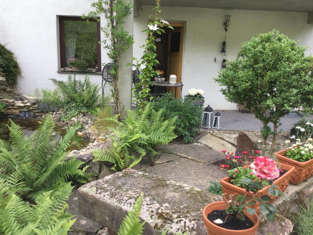 a garden with plants and flowers in front of a house at Ferienwohnung Schug in Homburg
