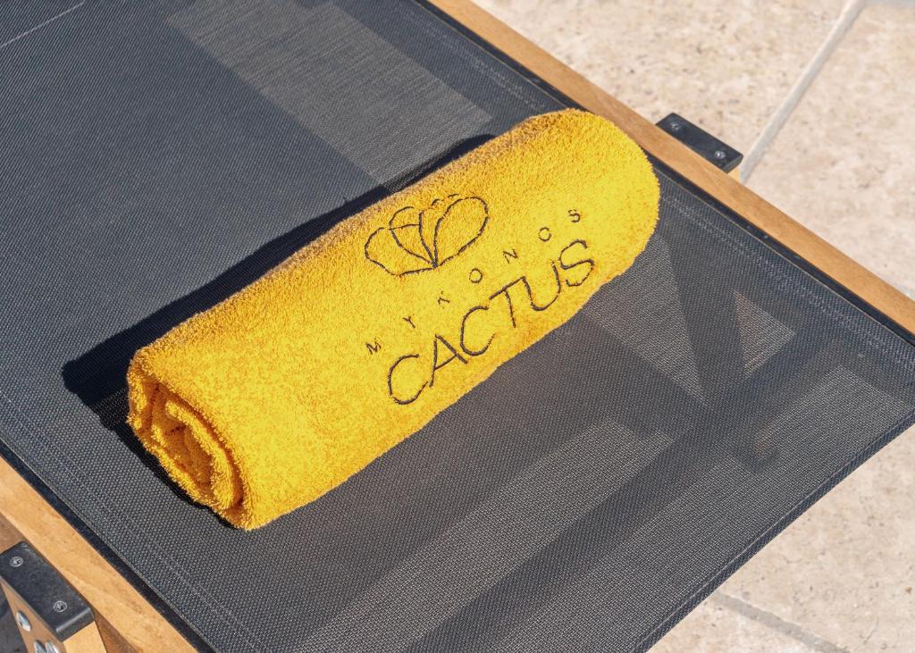 Fotografie z fotogalerie ubytování Mykonos Cactus v destinaci Ornos