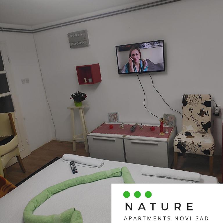TV a/nebo společenská místnost v ubytování Just nature