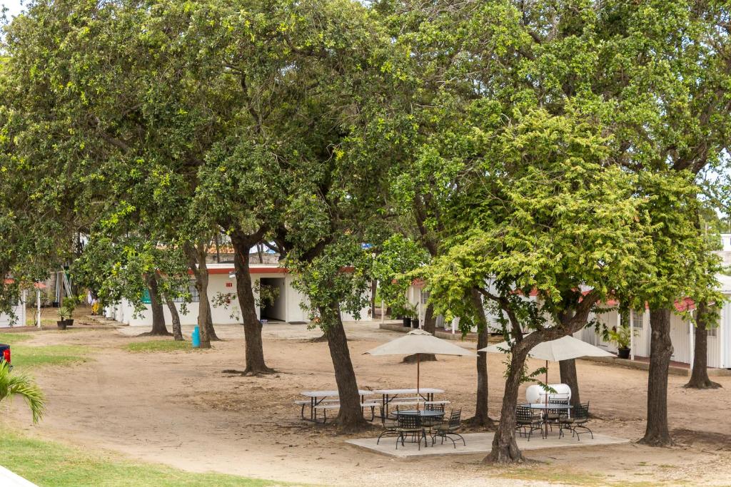 Zahrada ubytování BONITTO INN® Tampico Altamira