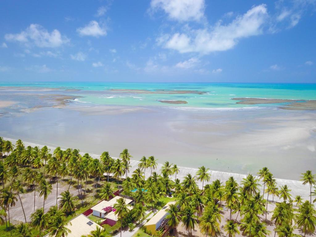 una vista aérea de una playa con palmeras y el océano en Pousada Vila Cobé, en Japaratinga