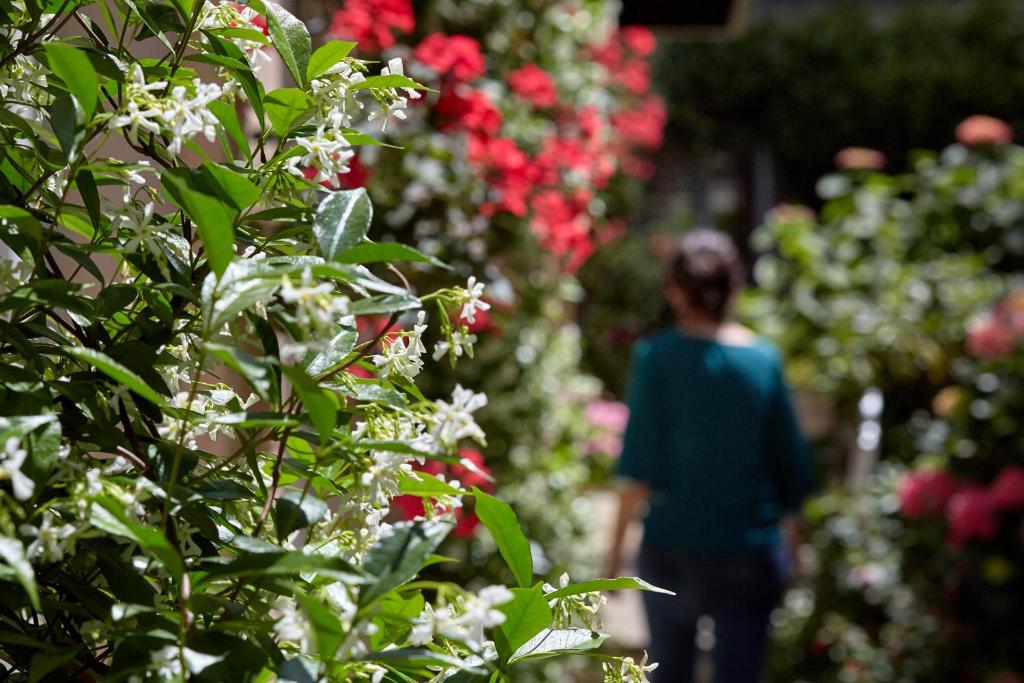 Le Vert Galant - Auberge Etchegorry - Resim 20