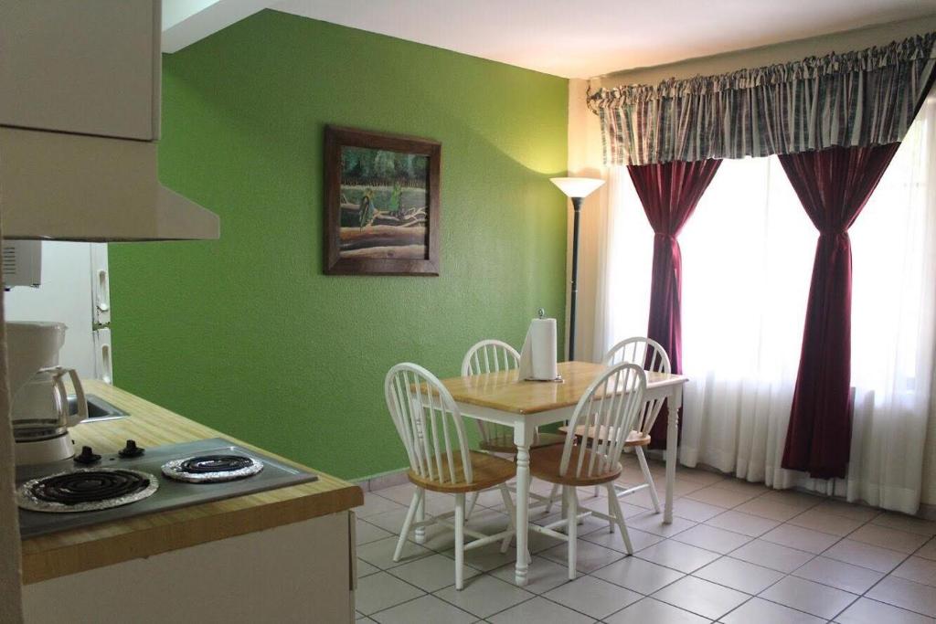 Kuchyň nebo kuchyňský kout v ubytování Apart Hotel La Cordillera