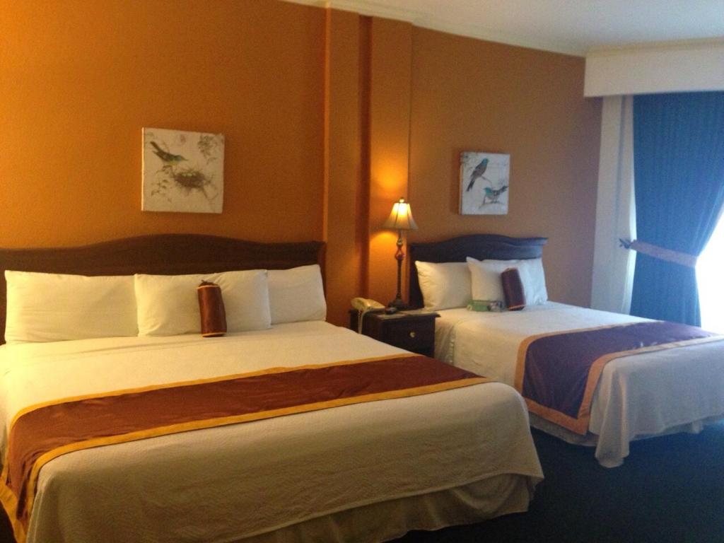 Postel nebo postele na pokoji v ubytování Apart Hotel La Cordillera