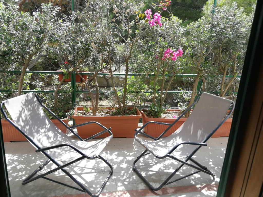 two chairs sitting on a patio with flowering trees at Il Giardino su Lido Burrone in Favignana
