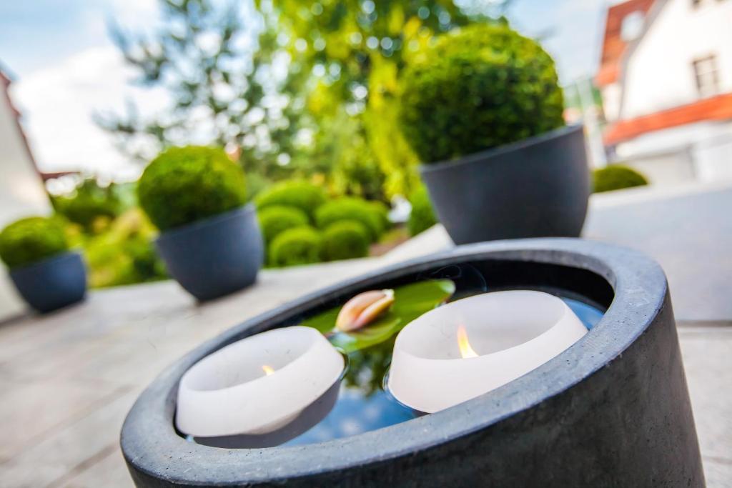 Fotografie z fotogalerie ubytování Boutique-Hotel Villa Anna v destinaci Eisenach