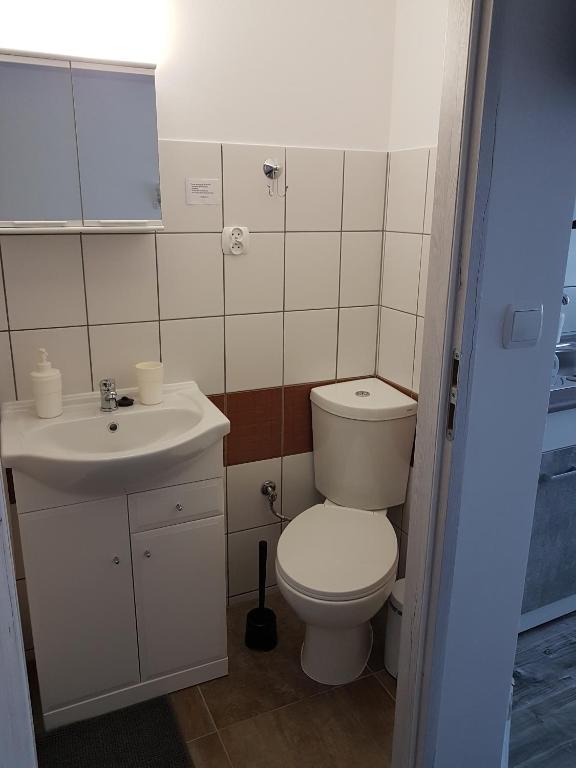Koupelna v ubytování Leszkowo