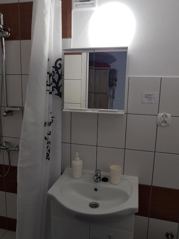 Koupelna v ubytování Leszkowo