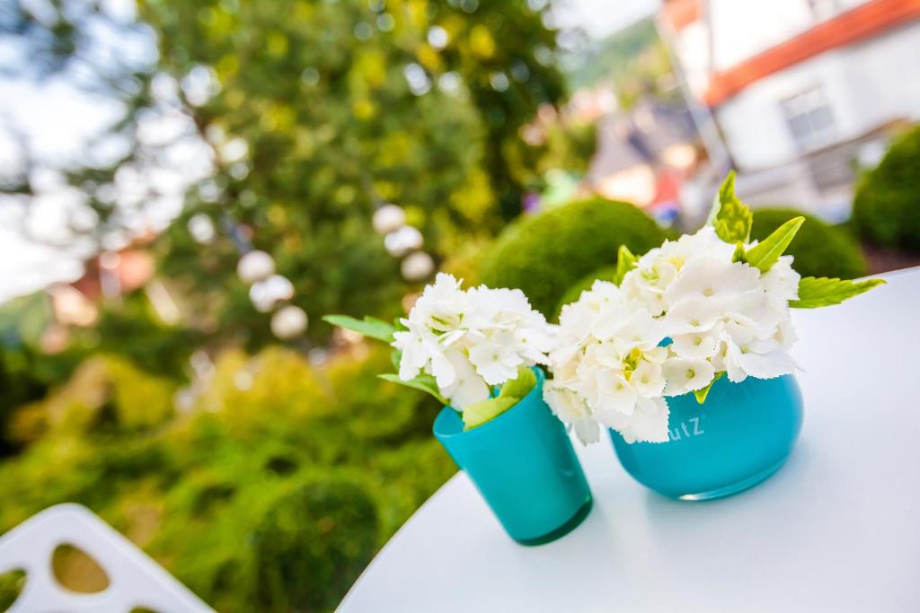 Zahrada ubytování Boutique-Hotel Villa Anna